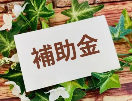 【大阪の解体工事】補助金で安く安全に!リープロスは“追加費用なし・他社より安い解体”を実現します